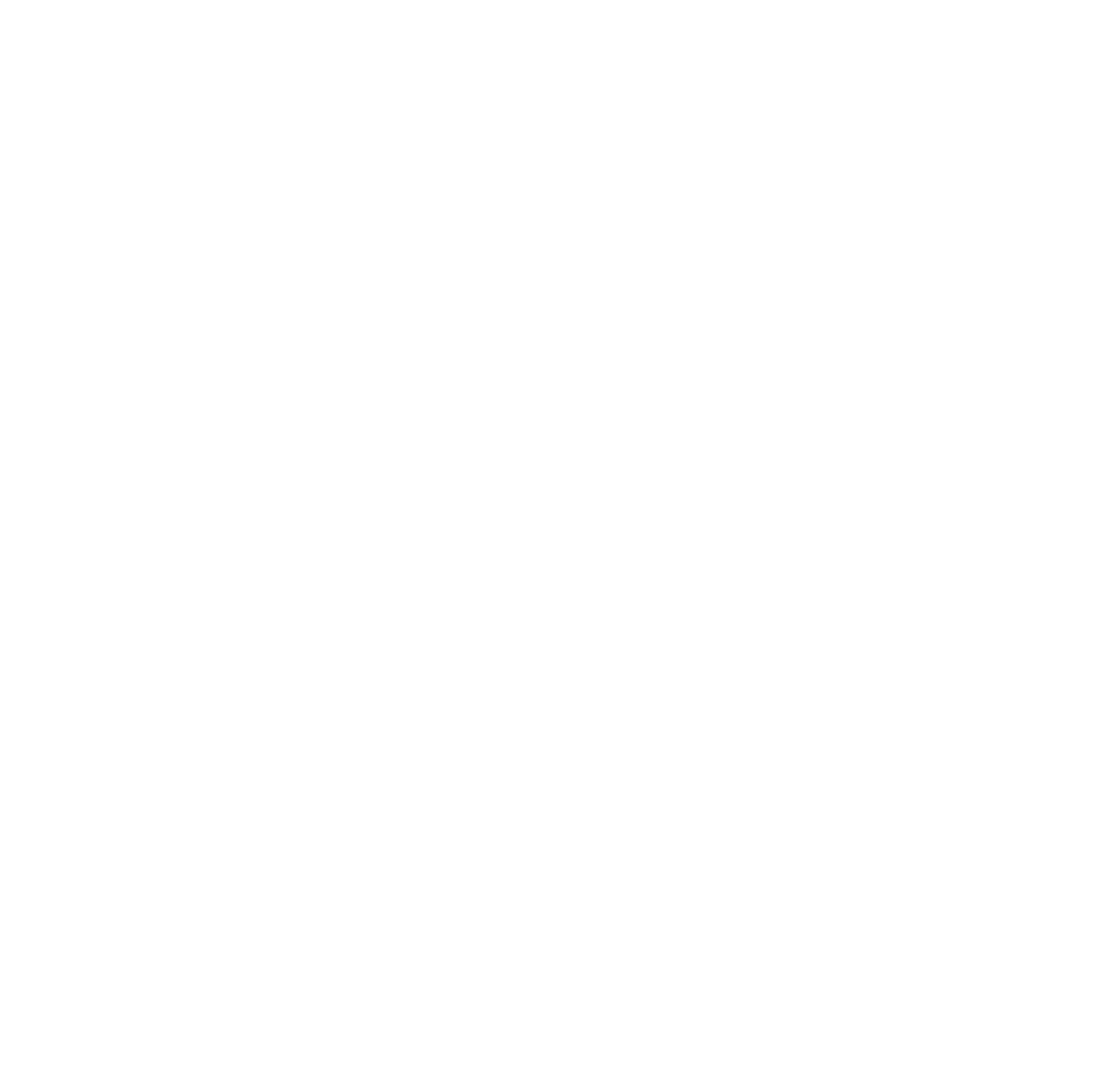 Boatserv logo